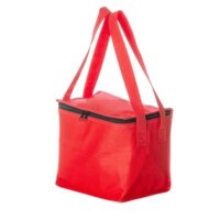 Bolsa Térmica Grande Personalizada TNT 8 Litros