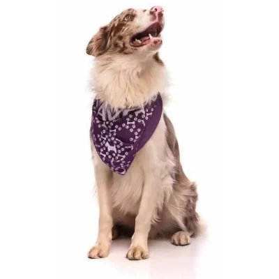 Bandana Pet Personalizada
